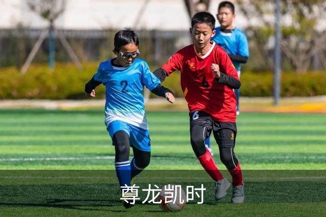 关于尊龙凯时